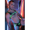 Breedwell Harnais Revolution Vert neon